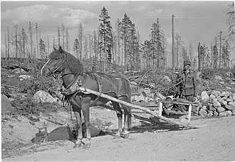 A workman's travois, Finland 1941