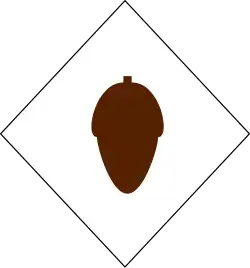 acorn on white diamond