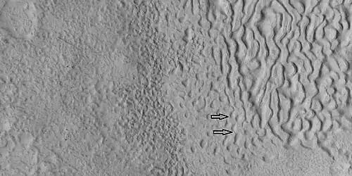 Brain terrain being formed, as seen by HiRISE under HiWish program. Note: this is an enlargement of a previous image using HiView. Arrows indicate spots where brain terrain is beginning to form.