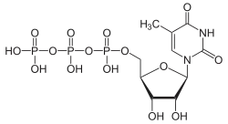 Skeletal formula of 5-methyluridine triphosphate