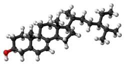 Ball-and-stick model of 7-dehydroepisterol