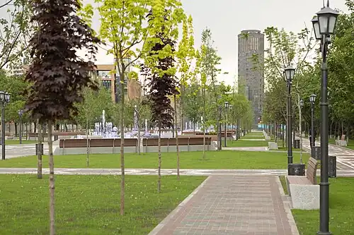 Green area of the park