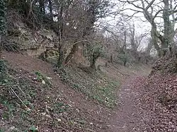 Stonesfield Common, Bottoms and Banks