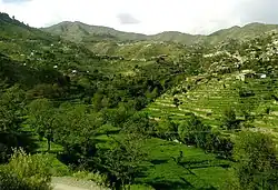 Location of Shalkani