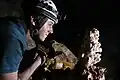 A caver looks at a cave formation called a logomite.