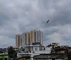 A view from Satchasi Para, Cossipore