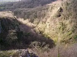 Looking down into Ebbor Gorge.
