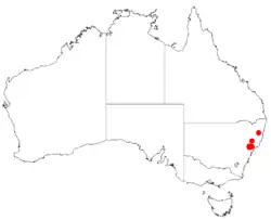"Acacia bulgaensis" occurrence data from Australasian Virtual Herbarium