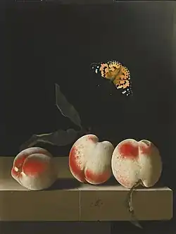Three peaches on a stone ledge with a Painted Lady butterfly, oil on paper, 31.3 x 23.3&nbsp;cm, monogrammed "AC" and dated 1693-1695 based on compositional characteristics
