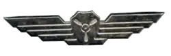 Air Crew chief's Badge