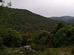 The Ajloun hills, Jordan