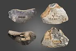 Front and back views of two almost-triangular-shaped stones with a sharp edge running across the bottom side