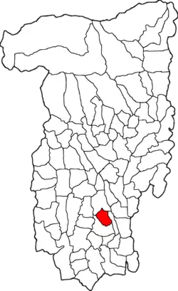 Location in Vâlcea County