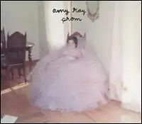 A girl seated in a chair wearing an extremely elaborate dress