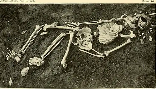 Grave from Combe-Capelle, France