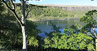 An image of water shot through trees