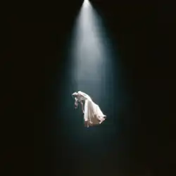 The singer stands floating in air as caught by an UFO in a dark atmosphere, in which a blue light stands from the top