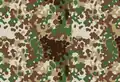 Commercial Arid Flecktarn