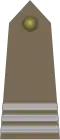 Starszy kapral (Polish Land Forces)[15]