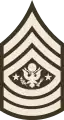 Sergeant Major of the Army