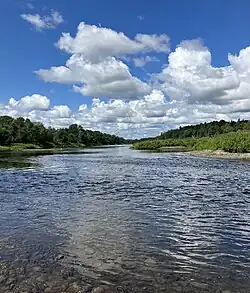 Aroostook river on sunny summer day.