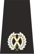 UK Police Assistant Chief Constable Epaulette