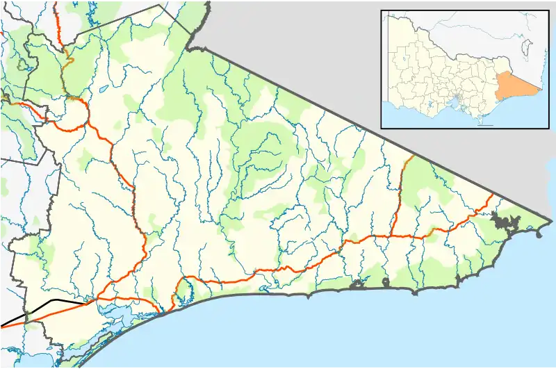 W Tree is located in Shire of East Gippsland