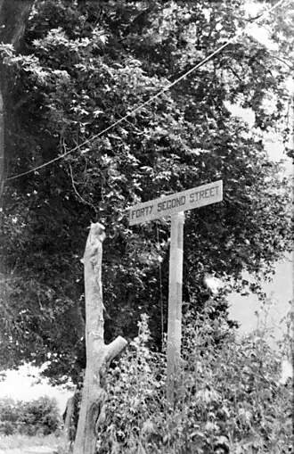 A wooden sign reading Forty Second Street in front of a tree