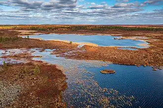 An autumn view over the Laavurenkaanlammet ponds in Sammuttijänkä–Vaijoenjänkä mire reserve
