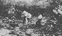 A man stands in a forested area blanketed with debris