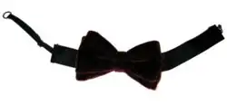 A pre-tied bow tie