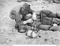 Australian Army staff preparing mustard gas with goat waiting in Japanese-style dugout