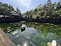 The natural spring pond within the temple complex