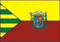 Flag of São Raimundo Nonato
