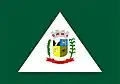 Flag of Tijucas do Sul