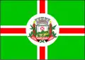 Flag of Monte Alegre, Pará