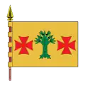 Flag of Oímbra
