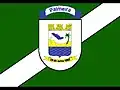 Flag of Palmeira do Piauí