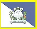 Flag of Serrinha dos Pintos