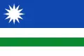 Flag of Renedo de la Vega