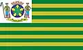 Flag of Niquelândia
