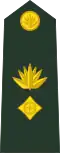 Bangladesh Army (Lieutenant Colonel)