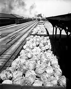 train cars full of bound wire lined up on a railroad