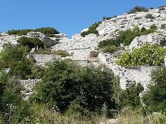 Remains of the complex