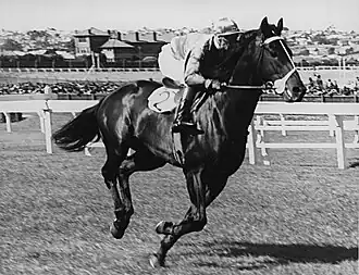 Beau Vite, 1940 & 1941 winner