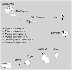 A black-and-white map of the ranges of various bees in the islands of Cape Verde, including *T. denolii*.