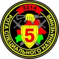 Special Forces Company patch