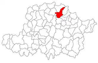 Location in Arad County
