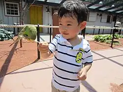 A bird being fed at the zoo by a child.