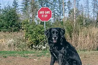 Booth with signs saying "information" and "your donation is greatly appreciated"
